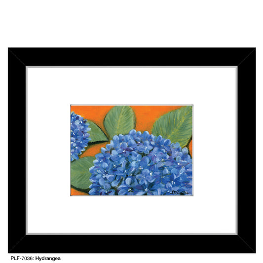 Hydrangea, Print (#7036)