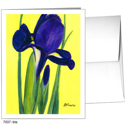 Iris, Greeting Card (7037)