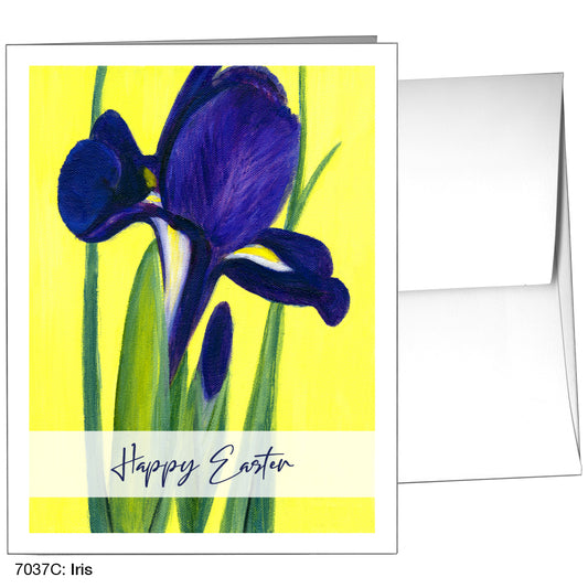 Iris, Greeting Card (7037C)