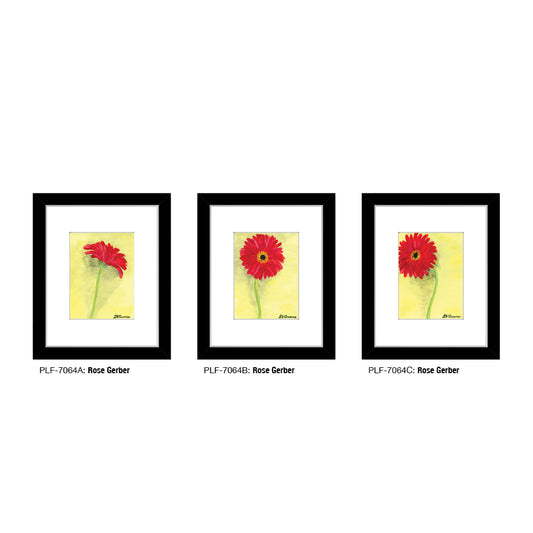 Rose Gerber, Print TRIO (#7064)