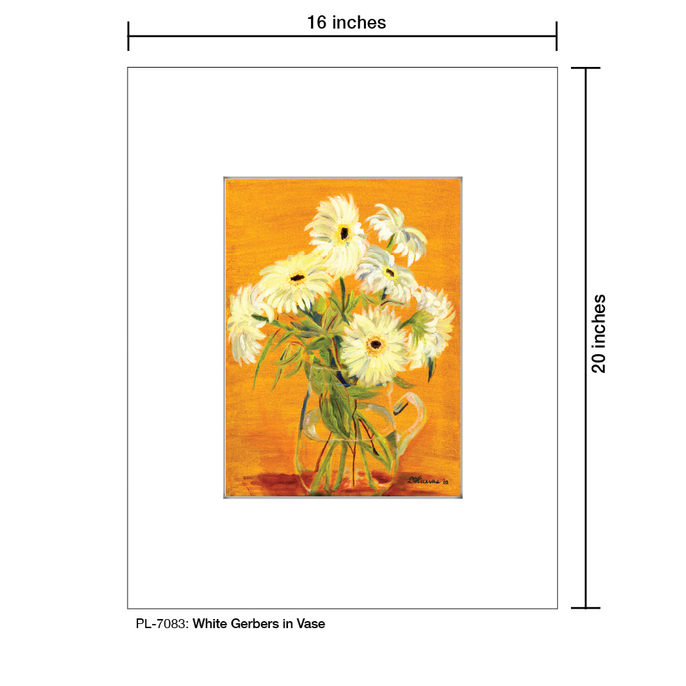 White Gerbers in Vase, Print (#7083)