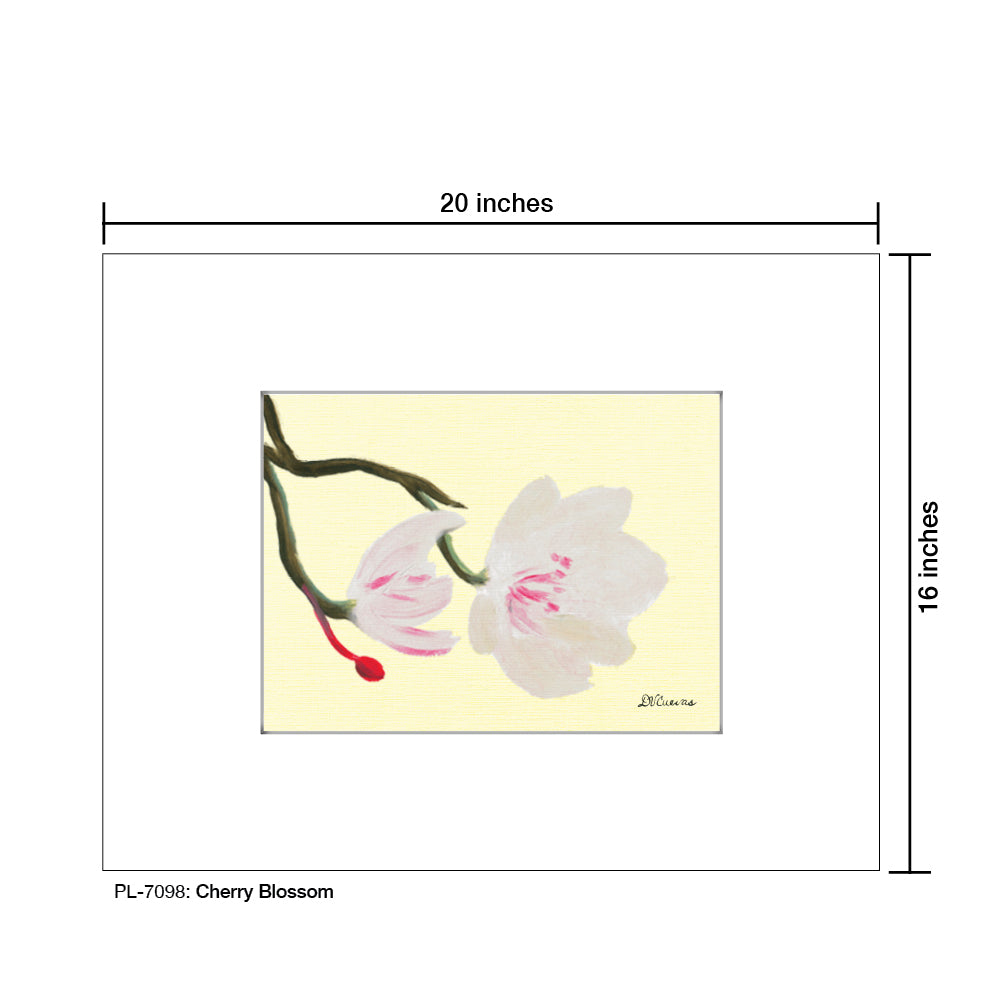 Cherry Blossom, Print (#7098)