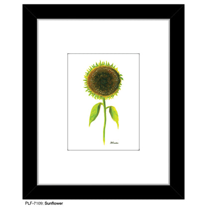 Sunflower, Print (#7109)