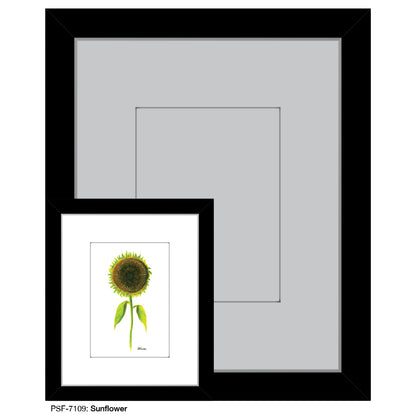 Sunflower, Print (#7109)