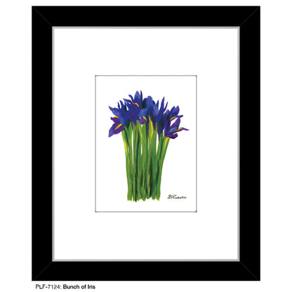 Bunch Of Iris, Print (#7124)