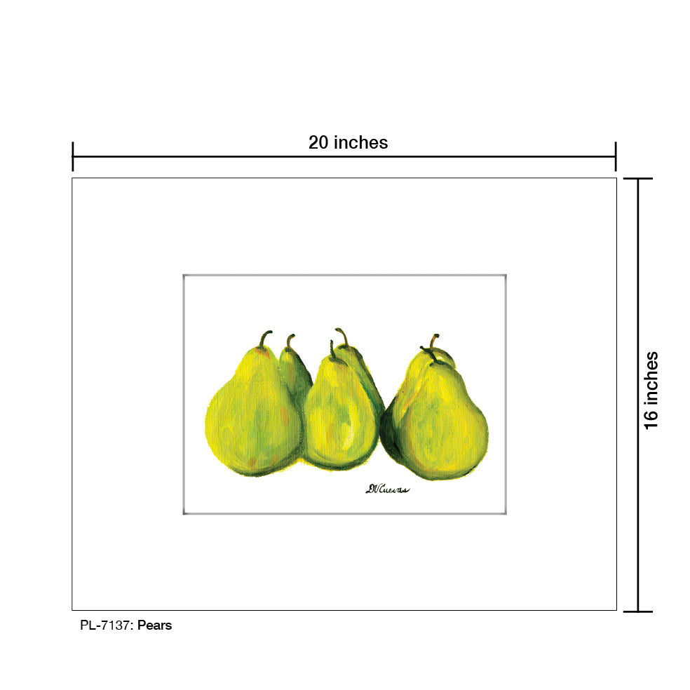 Pears, Print (#7137)