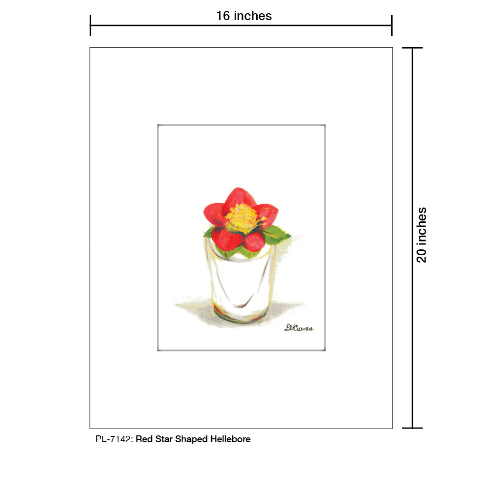 Red Star Shaped Hellebore, Print (#7142)