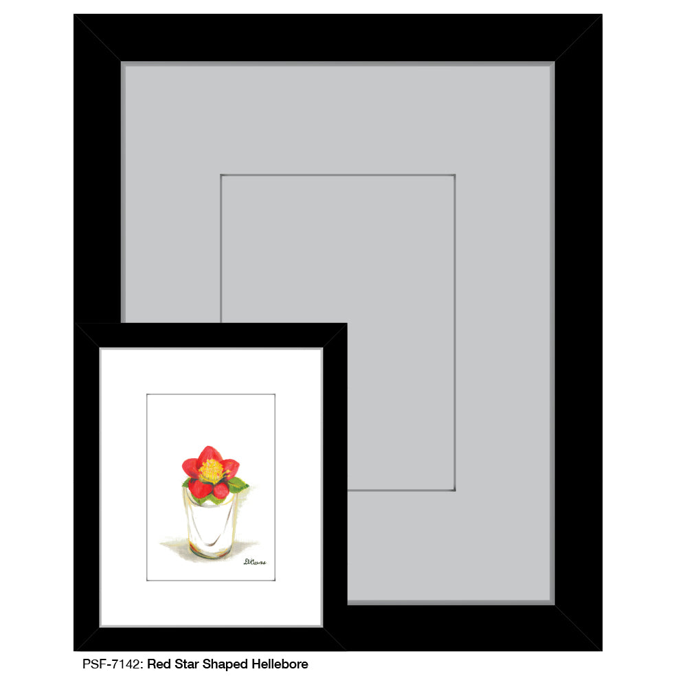 Red Star Shaped Hellebore, Print (#7142)