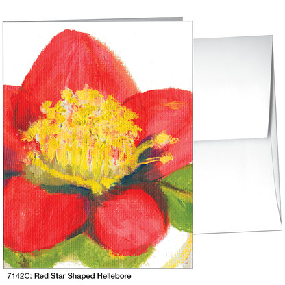 Red Star Shaped Hellebore, Greeting Card (7142C)