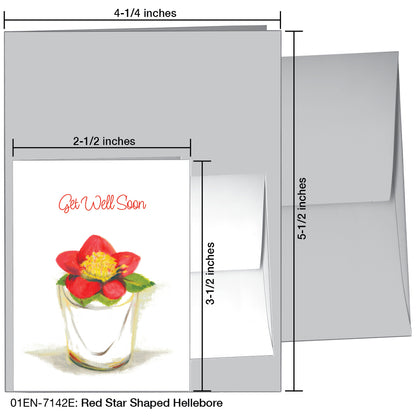 Red Star Shaped Hellebore, Greeting Card (7142E)