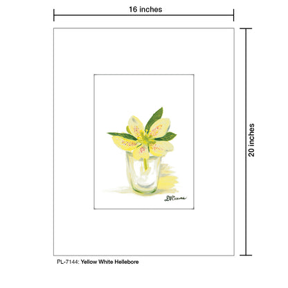 Yellow White Hellebore, Print (#7144)