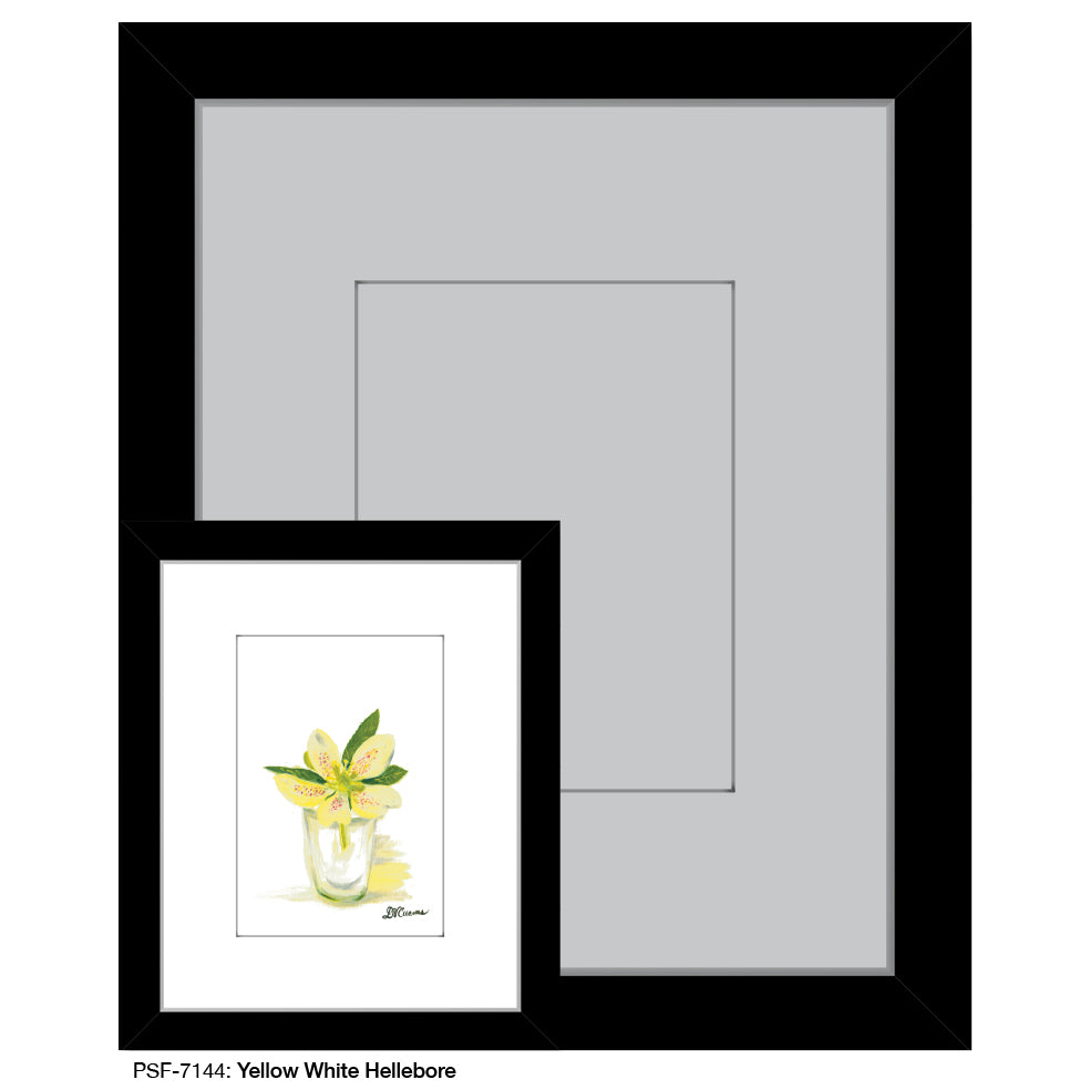 Yellow White Hellebore, Print (#7144)