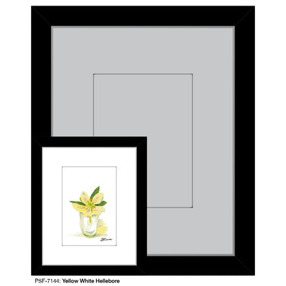 Yellow White Hellebore, Print (#7144)