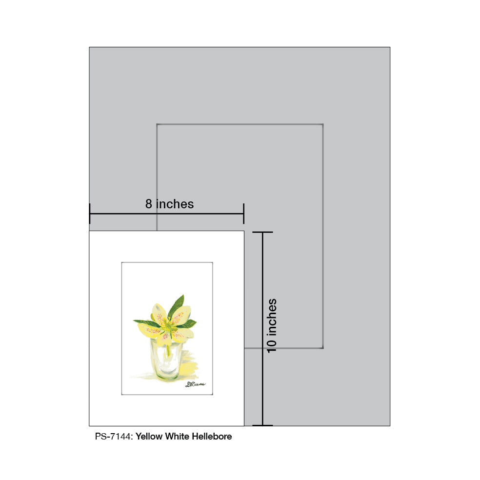 Yellow White Hellebore, Print (#7144)