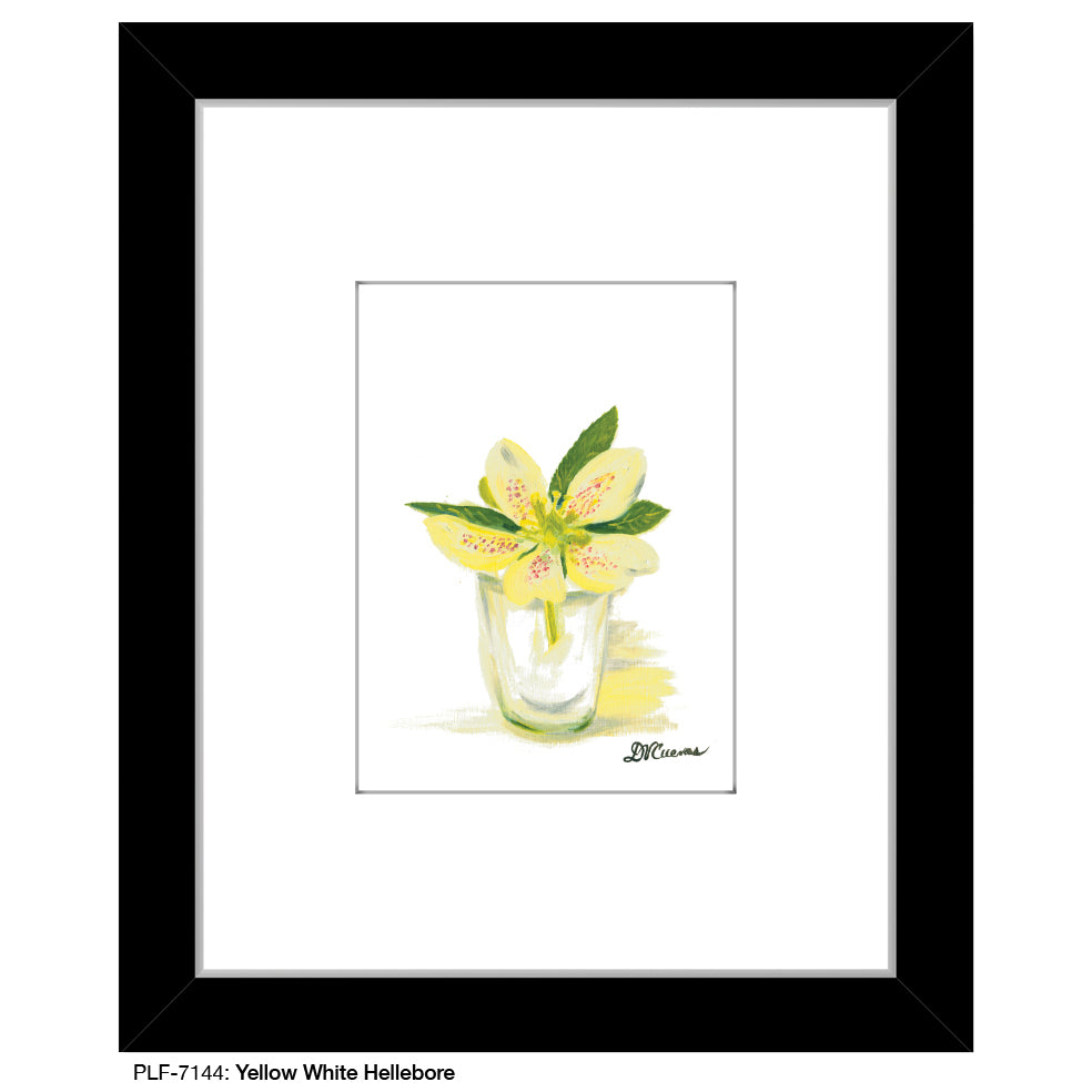 Yellow White Hellebore, Print (#7144)