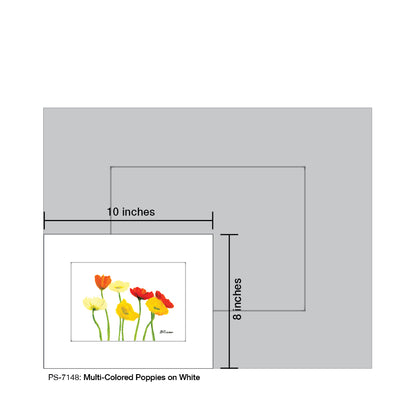 Multi-Colored Poppies on White, Print (#7148)