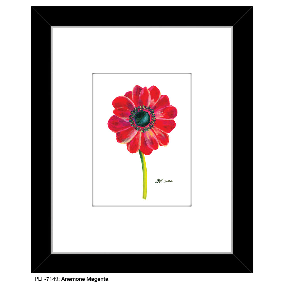 Anemone Magenta, Print (#7149)