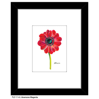 Anemone Magenta, Print (#7149)