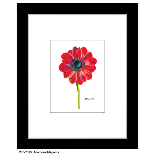 Anemone Magenta, Print (#7149)