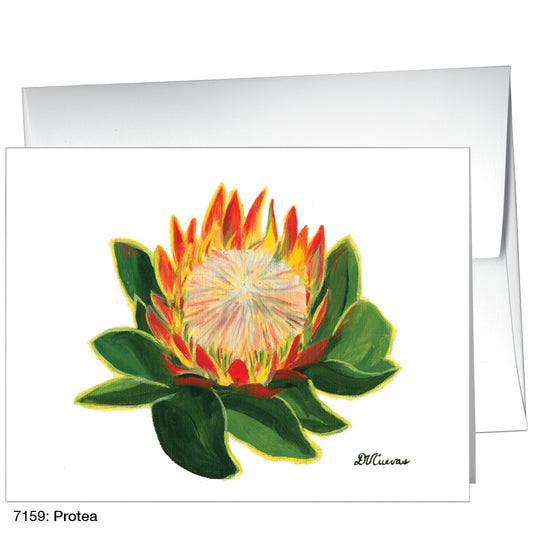 Protea, Greeting Card (7159)