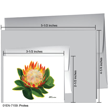 Protea, Greeting Card (7159)