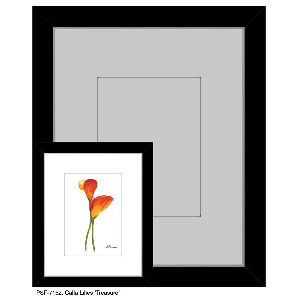 Calla Lilies 'Treasure', Print (#7162)