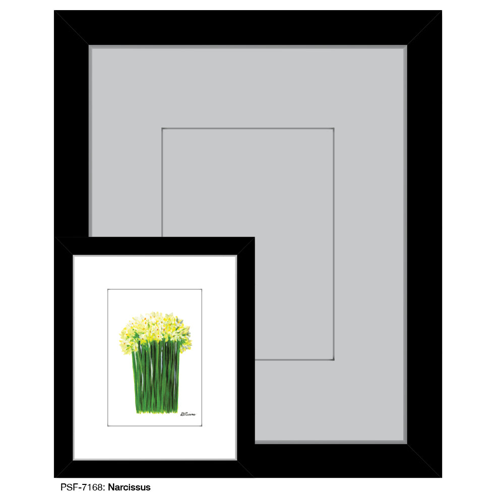 Narcissus, Print (#7168)