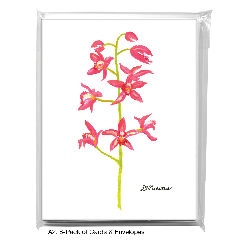 Orchid 'Cymbidium Insigne', Greeting Card (7170)