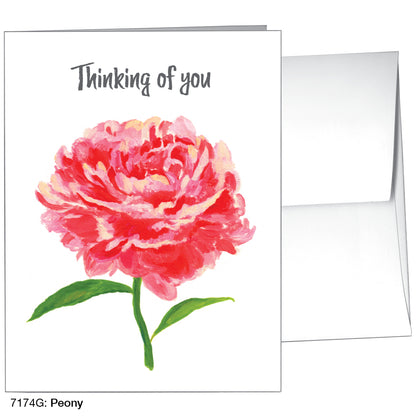 Peony, Greeting Card (7174G)