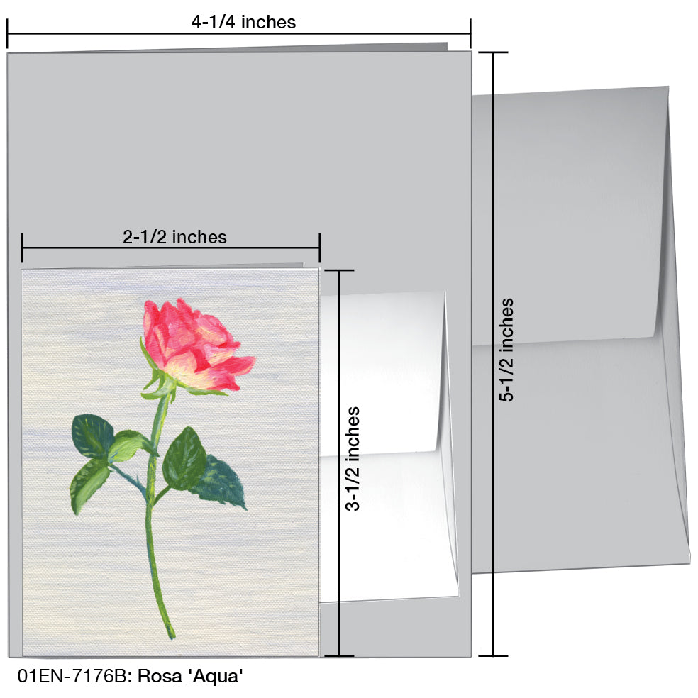 Rosa 'Aqua', Greeting Card (7176B)