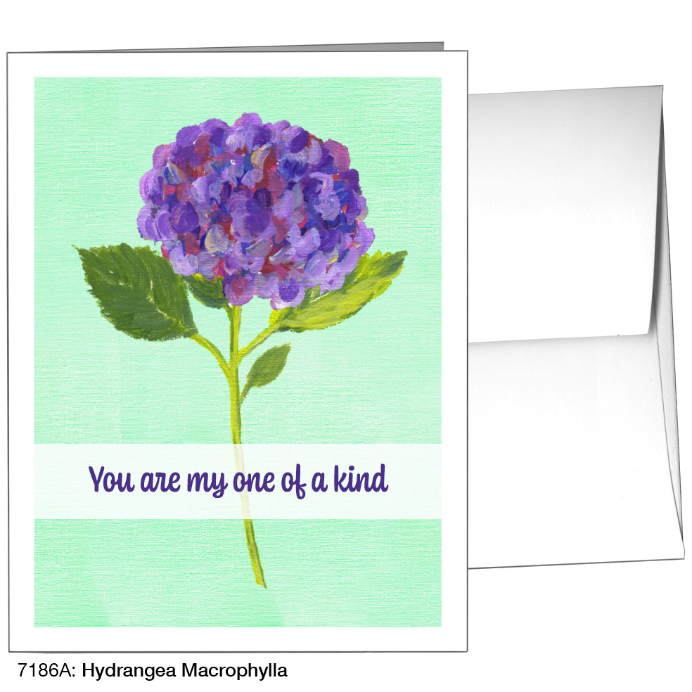 Hydrangea Macrophylla, Greeting Card (7186A)