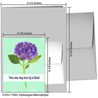 Hydrangea Macrophylla, Greeting Card (7186A)