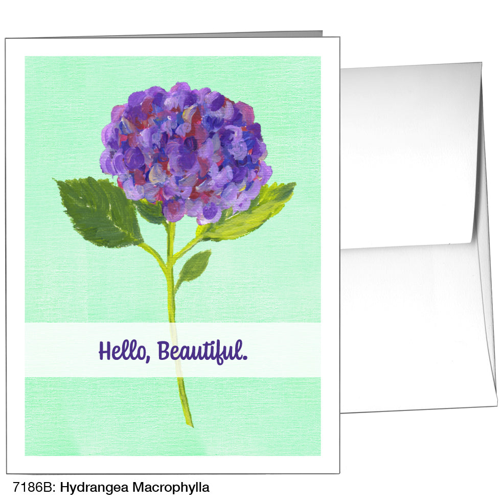 Hydrangea Macrophylla, Greeting Card (7186B)