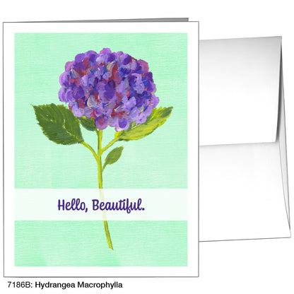 Hydrangea Macrophylla, Greeting Card (7186B)