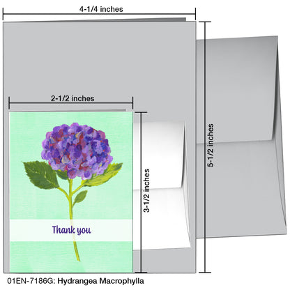 Hydrangea Macrophylla, Greeting Card (7186G)