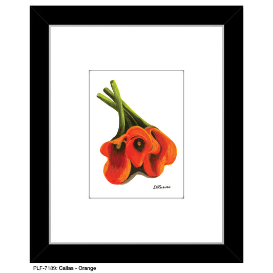 Callas - Orange, Print (#7189)