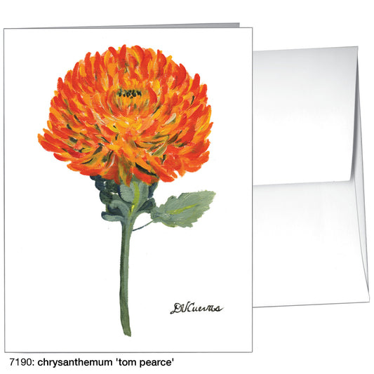 Chrysanthemum 'Tom Pearce', Greeting Card (7190)