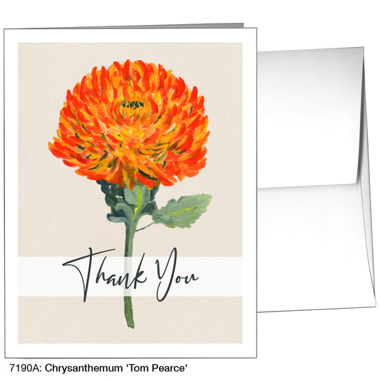 Chrysanthemum 'Tom Pearce', Greeting Card (7190A)