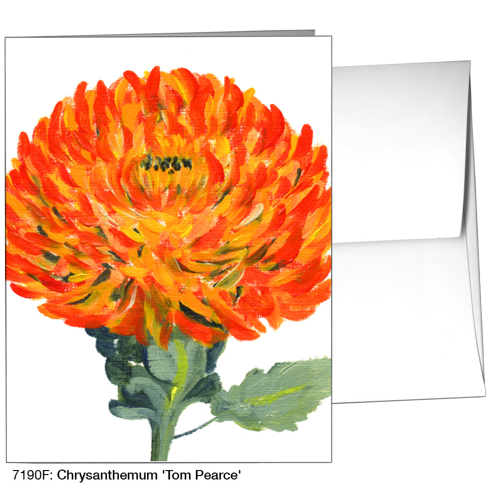 Chrysanthemum 'Tom Pearce', Greeting Card (7190F)