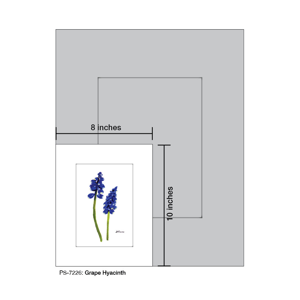 Grape Hyacinth, Print (#7226)