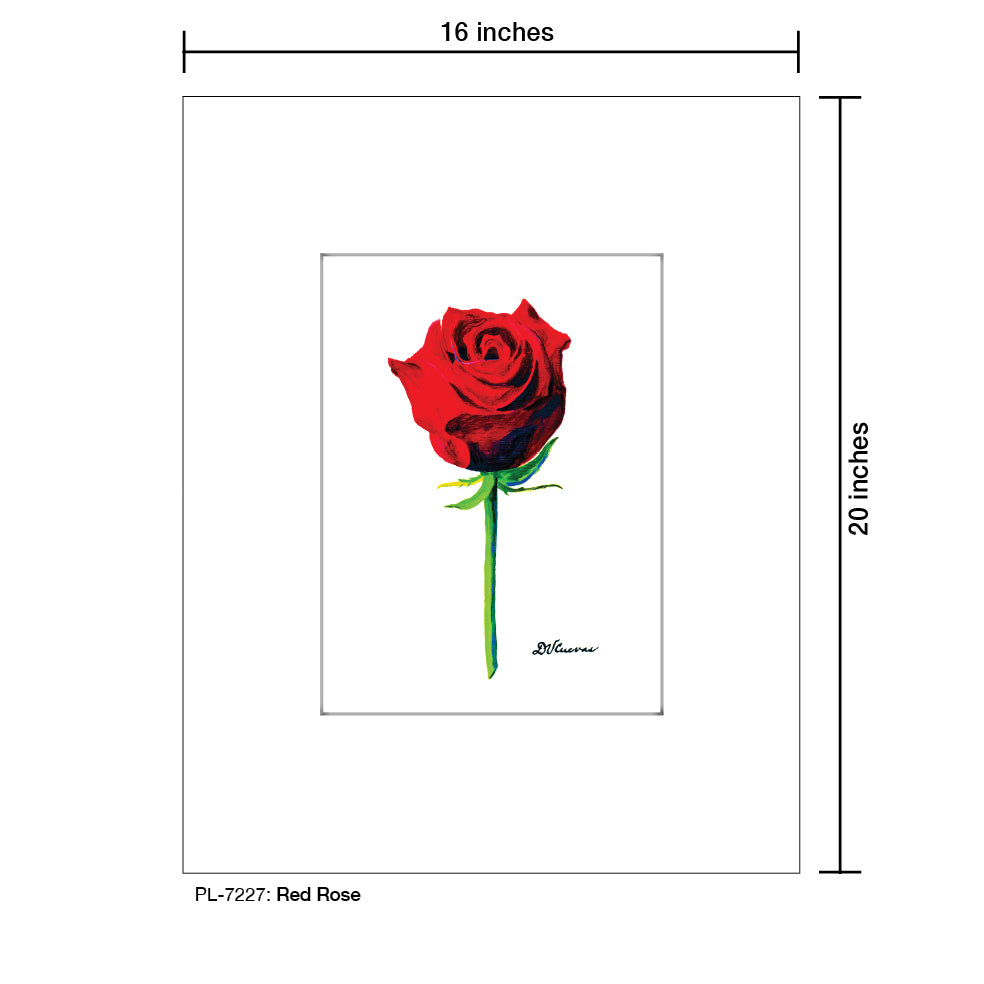 Red Rose, Print (#7227)