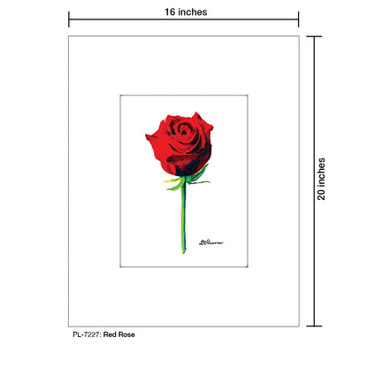 Red Rose, Print (#7227)