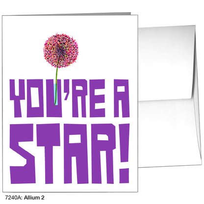 Allium 2, Greeting Card (7240A)