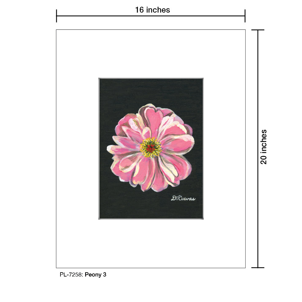 Peony 3, Print (#7258)