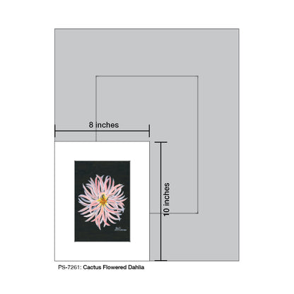 Cactus Flowered Dahlia, Print (#7261)