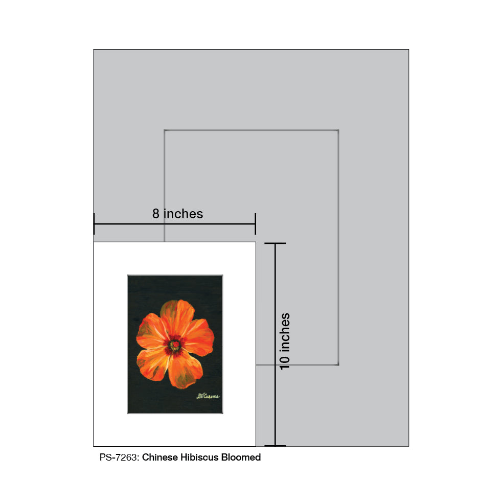 Chinese Hibiscus Bloomed, Print (#7263)