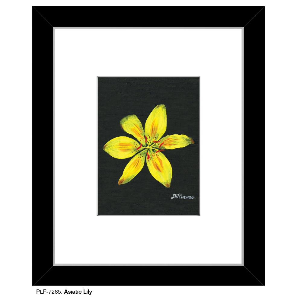 Asiatic Lily, Print (#7265)