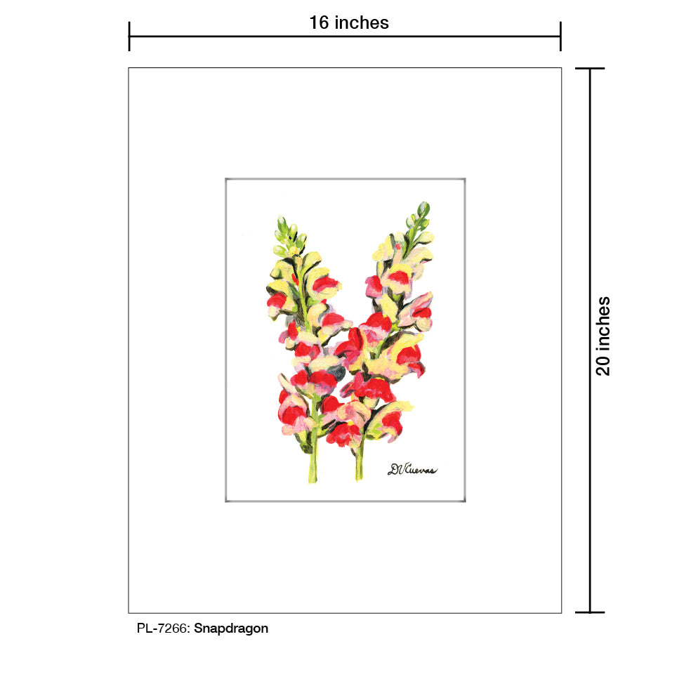 Snapdragon, Print (#7266)