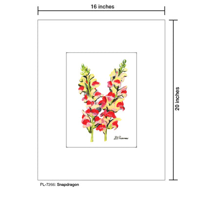 Snapdragon, Print (#7266)