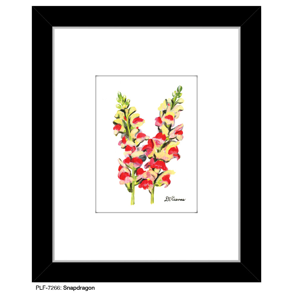 Snapdragon, Print (#7266)